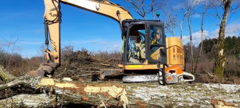 Remise en état et nettoyage de parcelle ou terrain forestier à Alligny