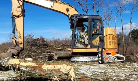 Remise en état et nettoyage de parcelle ou terrain forestier à Alligny