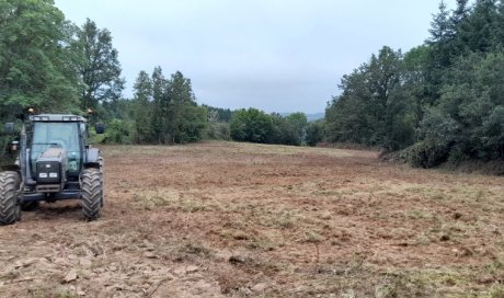 Passage du cover-crop dans une parcelle de bois