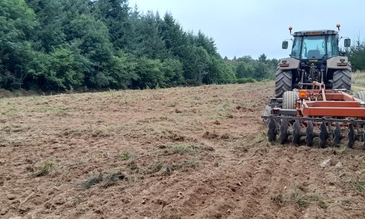 Reprise des chantiers forestier le nettoyage de la première parcelle de la saison à Chissey-en-Morvan