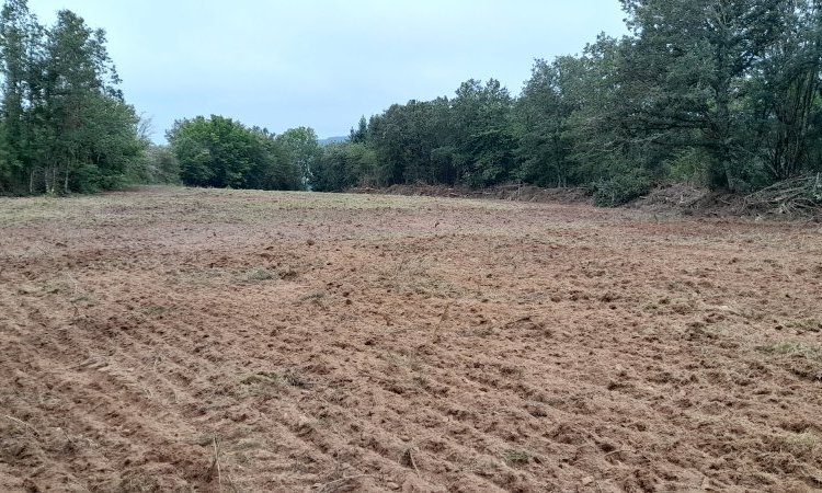 Finition du nettoyage de terrain à Chissey en Morvan